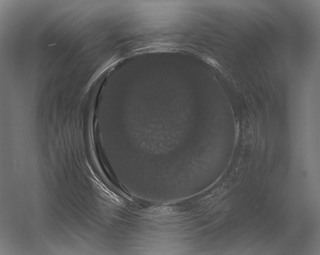 X0000058101450200509230947