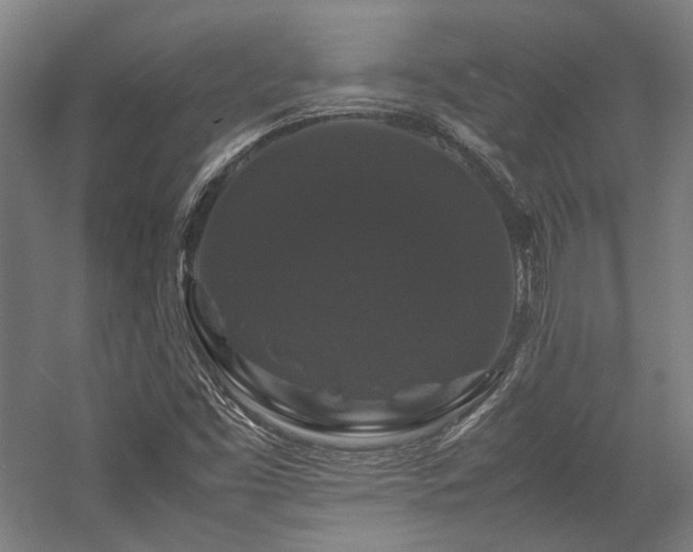 X0000058101453200509230947
