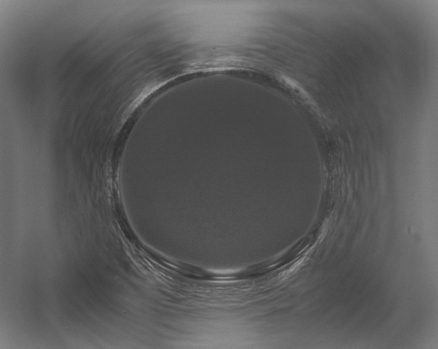X0000058101457200509230947