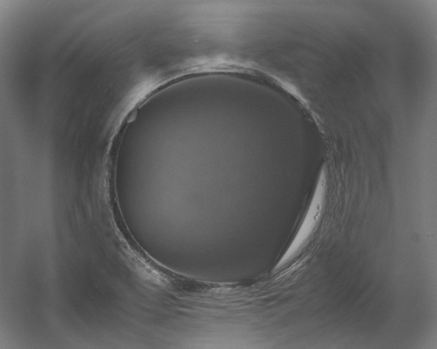 X0000058101463200509230947
