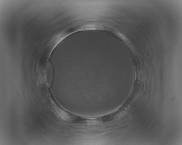 X0000058101465200509230947