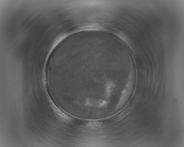 X0000058101466200509230947