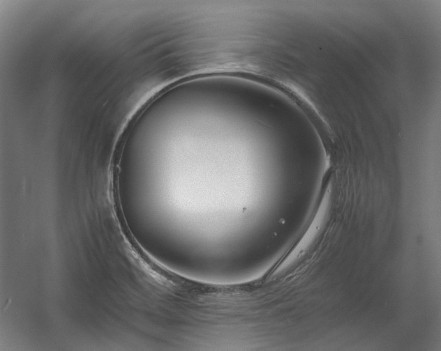X0000058101468200509230947