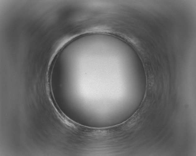 X0000058101470200509230947
