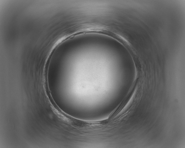 X0000058101471200509230947