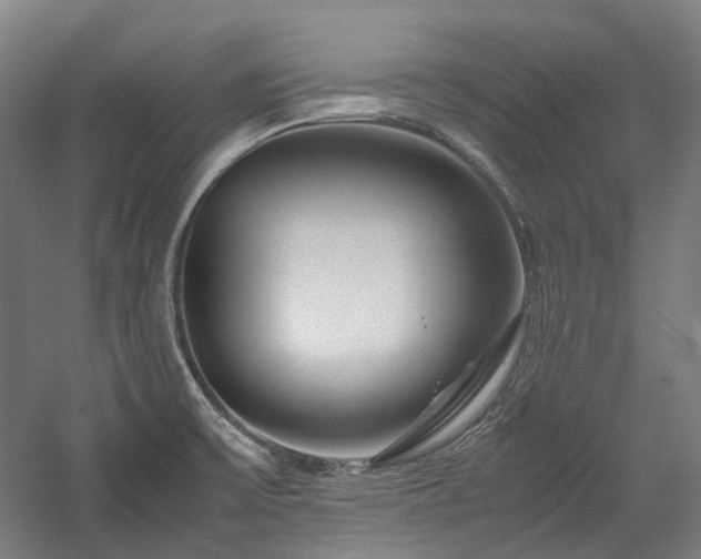 X0000058101475200509230947
