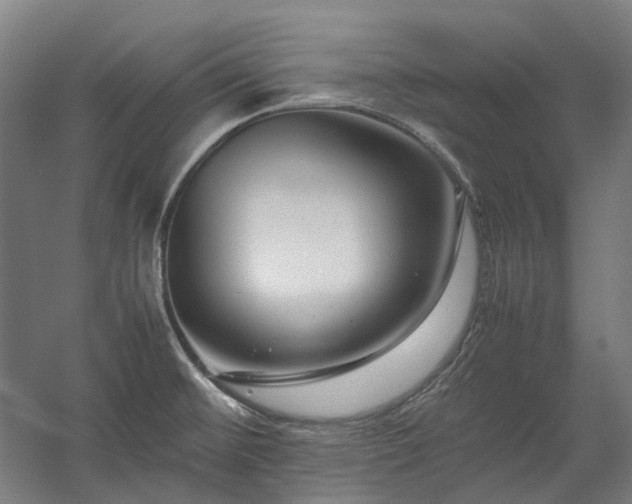 X0000058101476200509230947