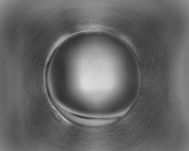 X0000058101480200509230947