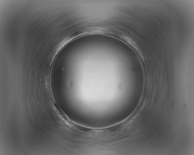 X0000058101481200509230947