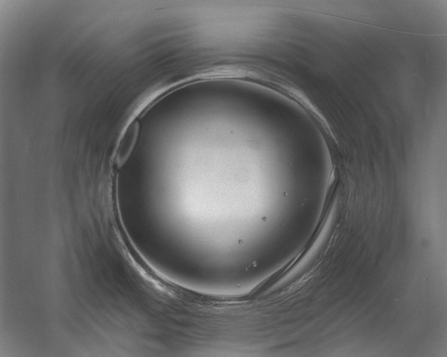 X0000058101484200509230947