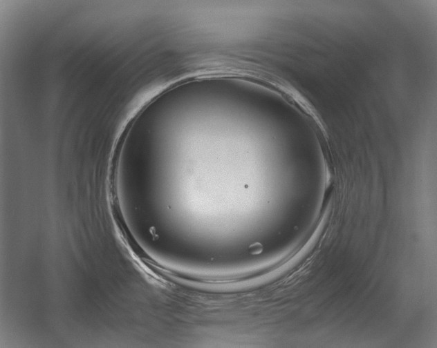 X0000058101485200509230947