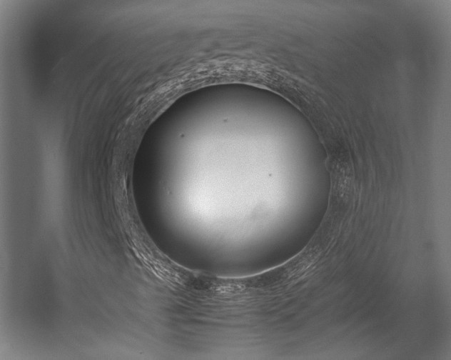 X0000058101489200509230946
