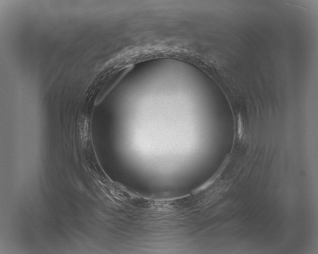 X0000058101492200509230946