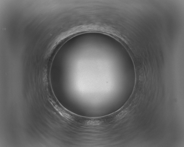 X0000058101499200509230946