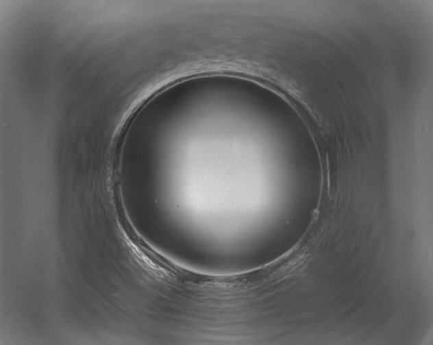 X0000058101500200509230946