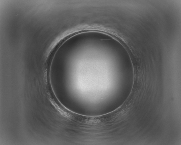 X0000058101503200509230946