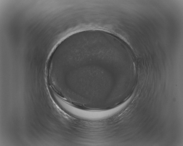 X0000058101508200509230946