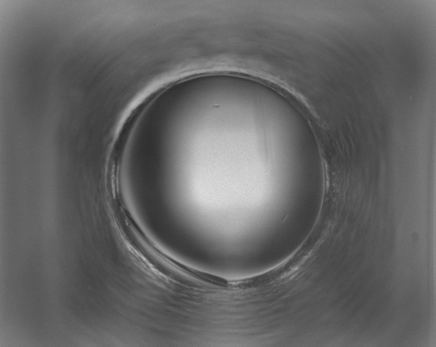 X0000058101510200509230946