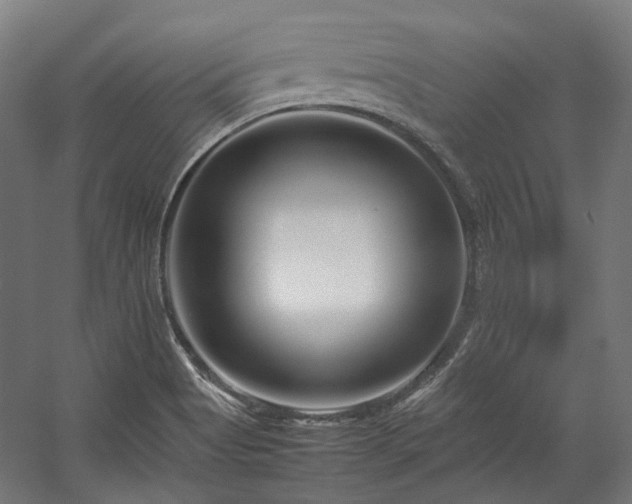 X0000058101513200509230946