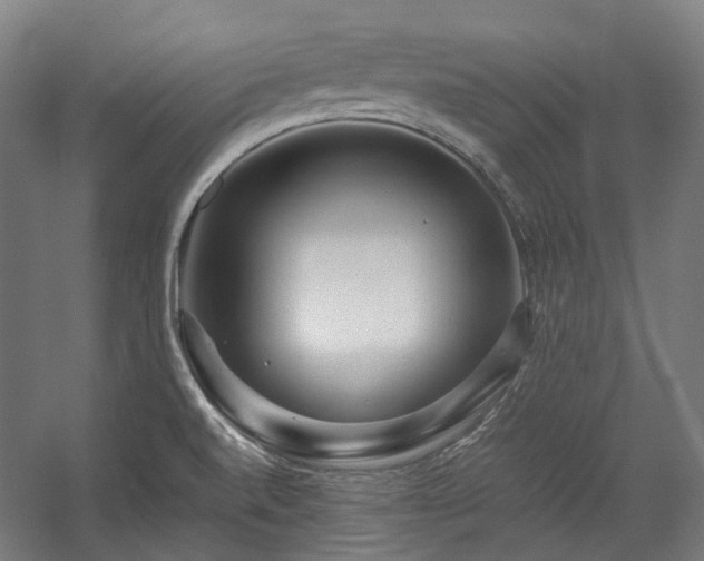 X0000058101520200509230946