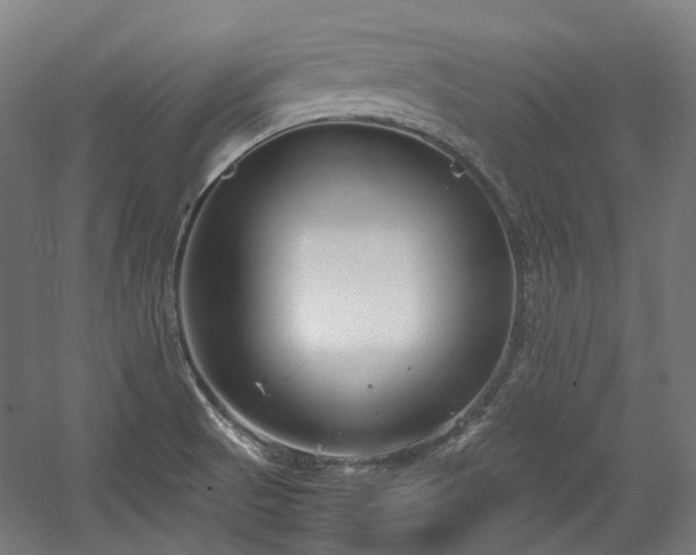 X0000058101521200509230946