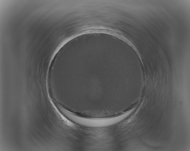 X0000058101533200509230946