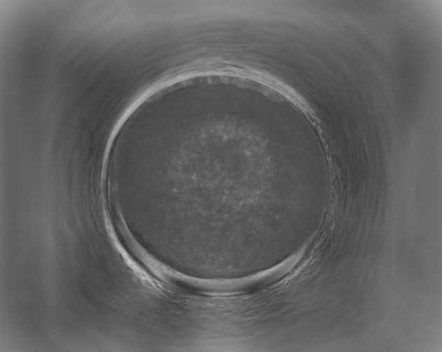 X0000058101536200509230946