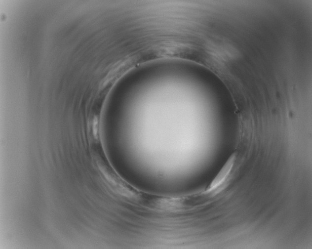 X0000058100094200509261221