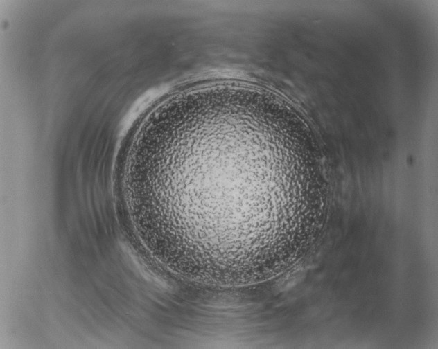 X0000058100104200509261220