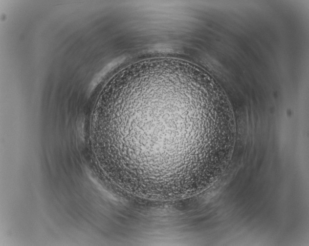X0000058100112200509261220
