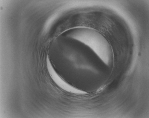X0000058100143200509261219