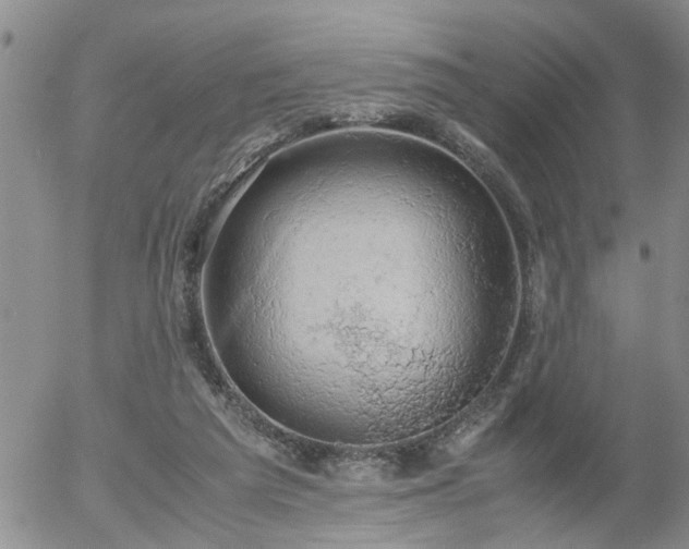 X0000058100209200509261218