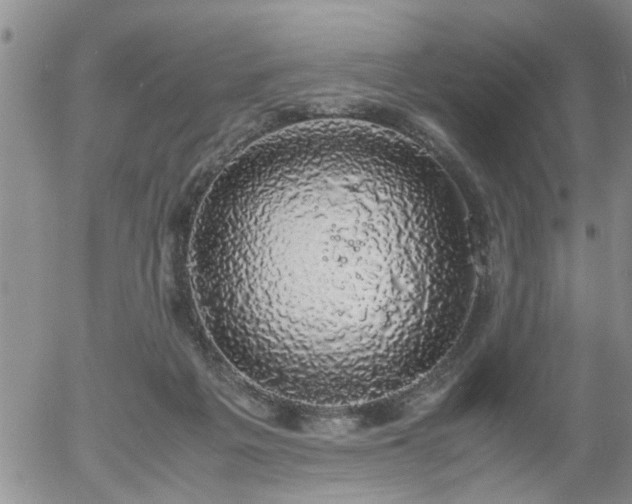 X0000058100217200509261218