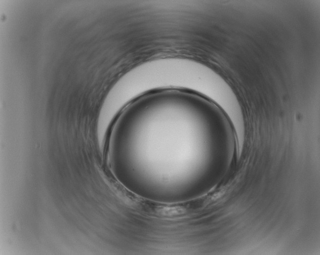 X0000058100277200509261217