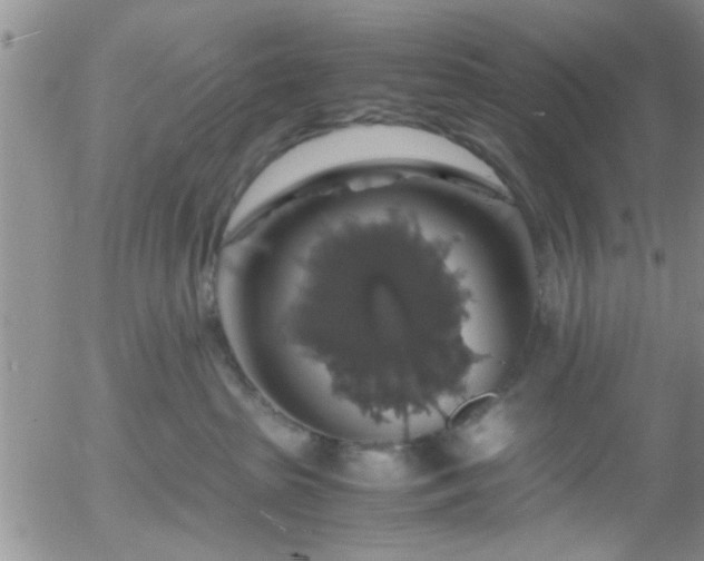 X0000058100285200509261217