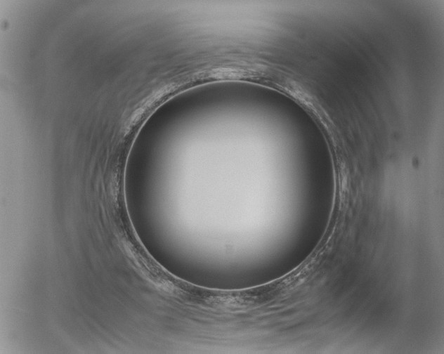 X0000058100297200509261217