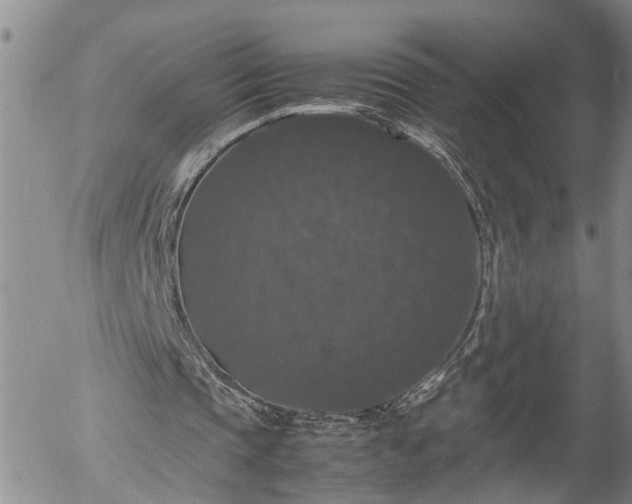 X0000058100337200509261215