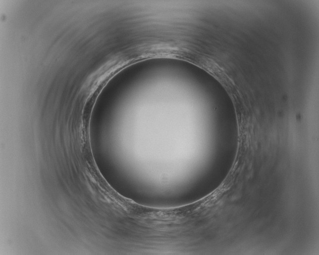 X0000058100338200509261215