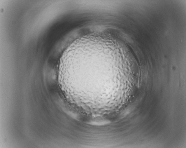 X0000058100431200509261214