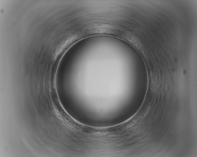 X0000058100482200509261213