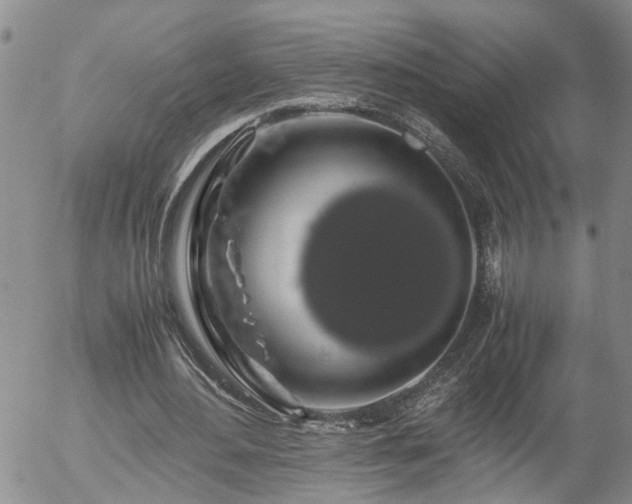 X0000058100484200509261213