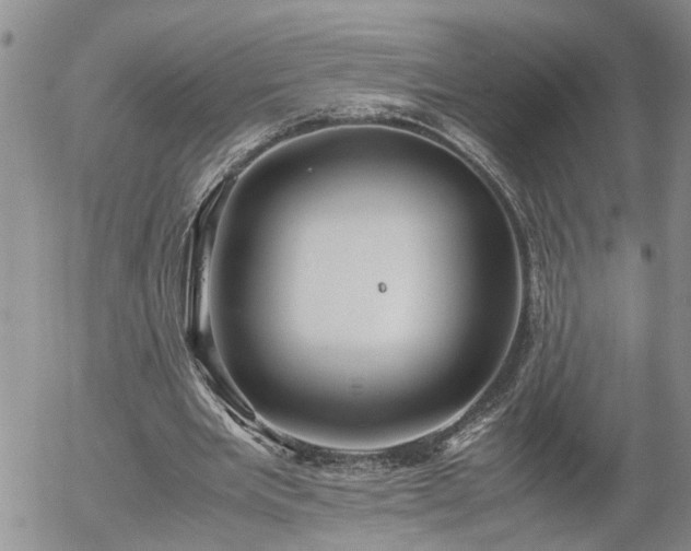 X0000058100485200509261213