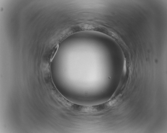 X0000058100521200509261213