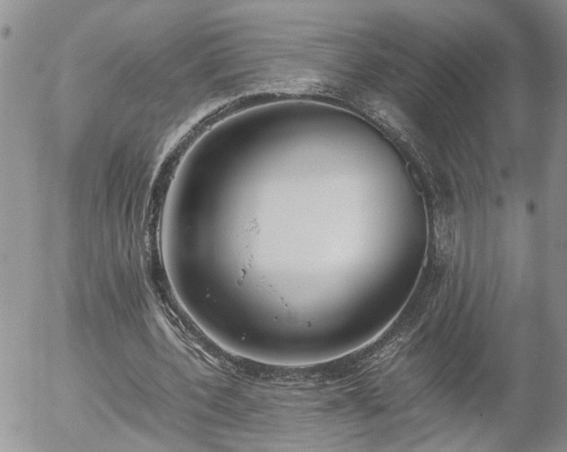 X0000058100532200509261212