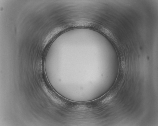 X0000058100534200509261212