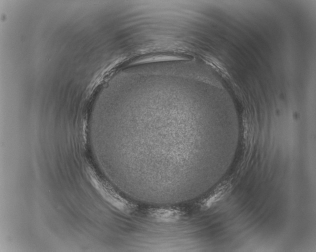 X0000058100542200509261212