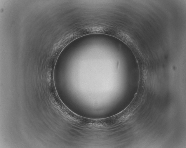 X0000058100545200509261212