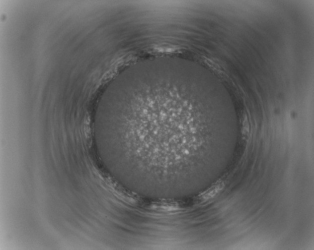 X0000058100559200509261212