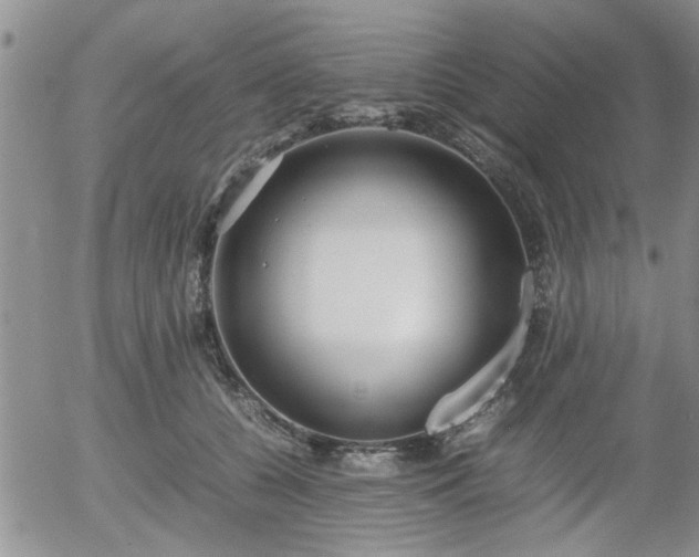 X0000058100560200509261212