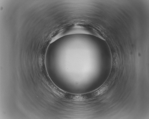 X0000058100562200509261212